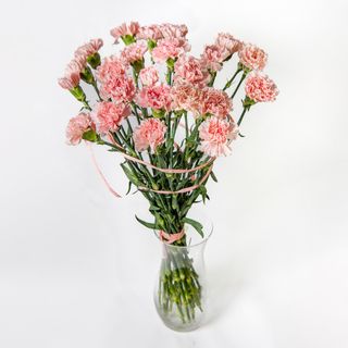 Bukiet z goździków 