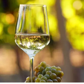 Vino Bianco