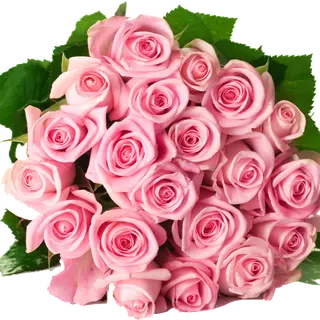 Bouquet de 15 roses rose 