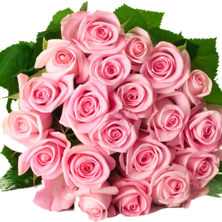 Bouquet de 15 roses rose 