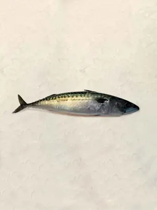 Caballa (300 Gr.)