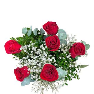  Ramo de 6 Rosas Rojas