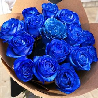 Docena Rosas Azules