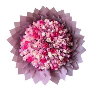 The Colour of My Dream