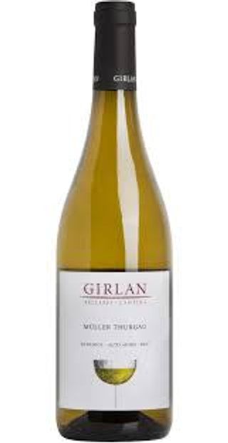 Müller Thurgau Girlan