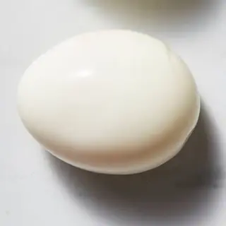 Egg