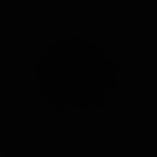 Orez prajit cu legume