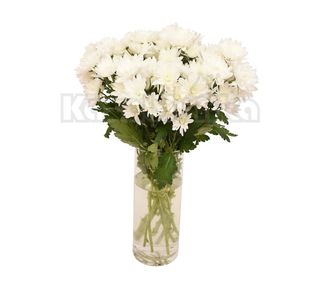 Margareta bela (RCIR 29)