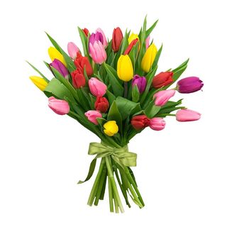 Букет 25 тюльпан