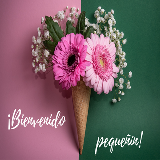 BIENVENIDO PEQUEÑIN !