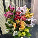 9 гілок альстромерії