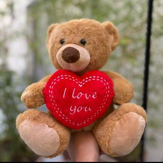 Peluche Teddy I Love You