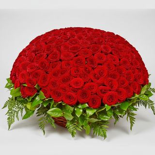 251 червона троянда