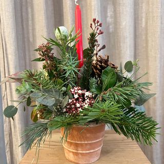 Maceta de barro con Flores de Navidad