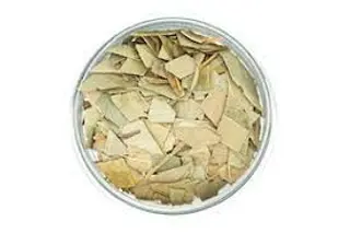 Eucalipto (50 Gr Aprox)