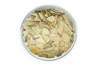 Eucalipto (50 Gr Aprox)