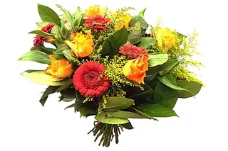 Bouquet – Sol