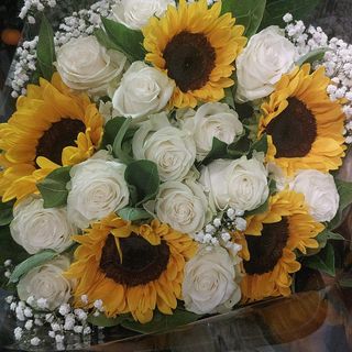 Fiore di girasole bianco rosa foglia verde fiore bianco