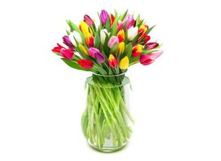 Микс лалета 29 бр