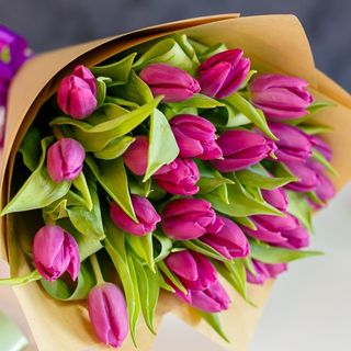 Buchet din 25 Lalele Mov în Hârtie Naturală