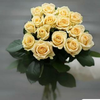 15 кремових троянд