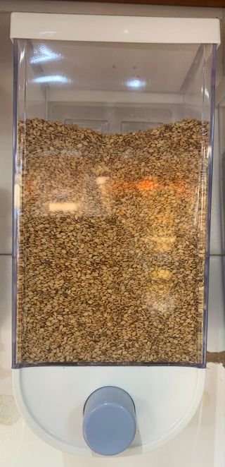 Semi di sesamo 100gr