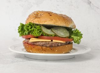 Classic hamburger