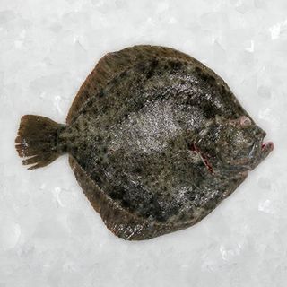 Rodaballo Cria 500Grs.