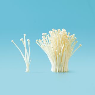 Seta Enoki