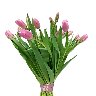 Tulipany różowe 15 szt