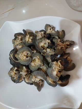 Smallest size 20pieces fresh snails