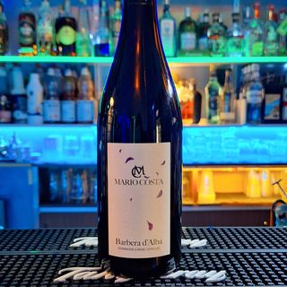 Barbera d'alba - Mario costa DOC  2023 