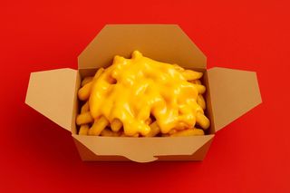 Extra Cheesy Fries