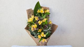 Buket od astromerije