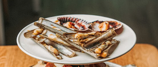 Navajas a la plancha