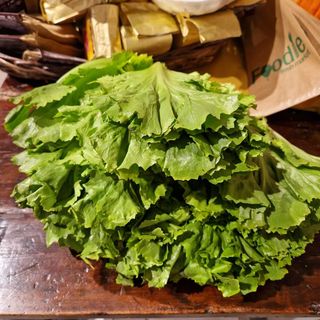 Insalata scarola 1 testa