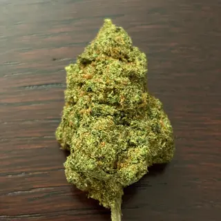 Girl scout cookies 5 Gr