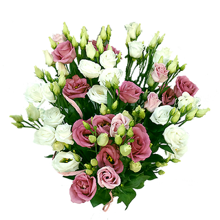 Bukiet z 5 szt. eustom