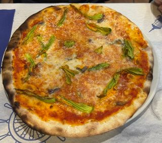Fiori di zucca e bufala