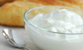 Plain Yogurt
