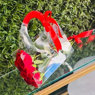 Panier Transparent Rouge