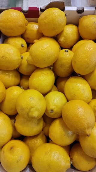 Limoni da sugo 1 kg