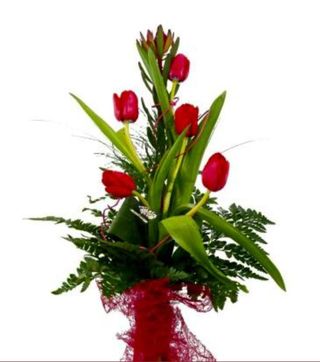 Lalele rosii in cascada 