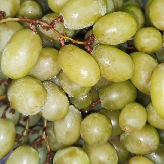 Uvas 