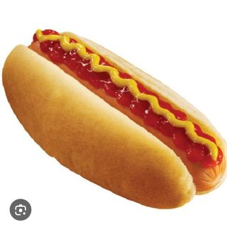 HOT DOG WURSTEL  CON PANINO LUNGO AL SESAMO