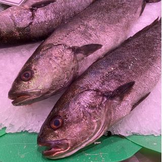 Corvina Nacional (1 Kg.) Para La Sal 