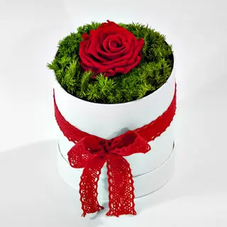 Rosa Eterna