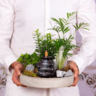 Aranjament "Meditatie in gradina parfumata"