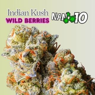 Indian Kush Wild Berries x Nano 10 CBD al 55% 1G
