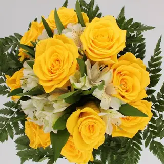10 Rose gialle cm 50